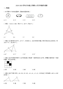 八年级上学期10月月考数学试题