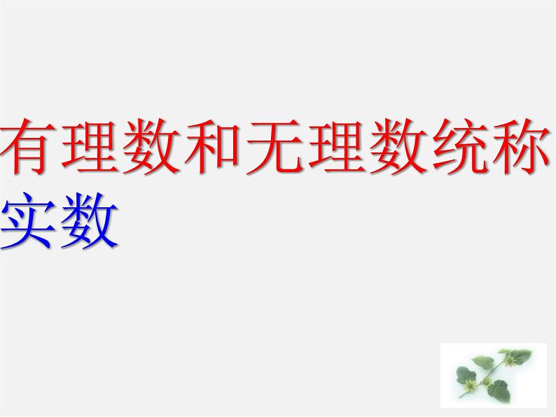 第5套人教初中数学七下  6.3 实数课件07