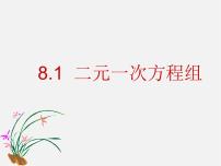 初中数学人教版七年级下册第八章 二元一次方程组8.1 二元一次方程组示范课课件ppt