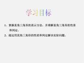 第4套人教初中数学八上  11.2.1 三角形的内角课件2
