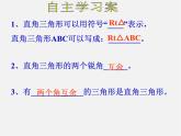 第4套人教初中数学八上  11.2.1 三角形的内角课件2