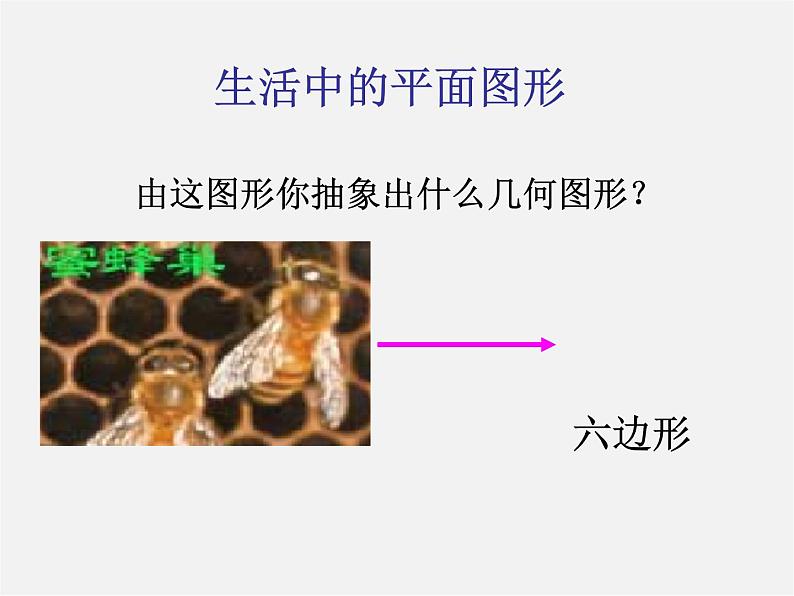 第4套人教初中数学八上  11.3.1 多边形课件第7页