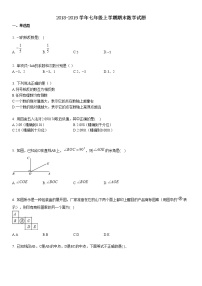 湖北省武汉市东湖高新区2018-2019学年七年级上学期期末数学试题