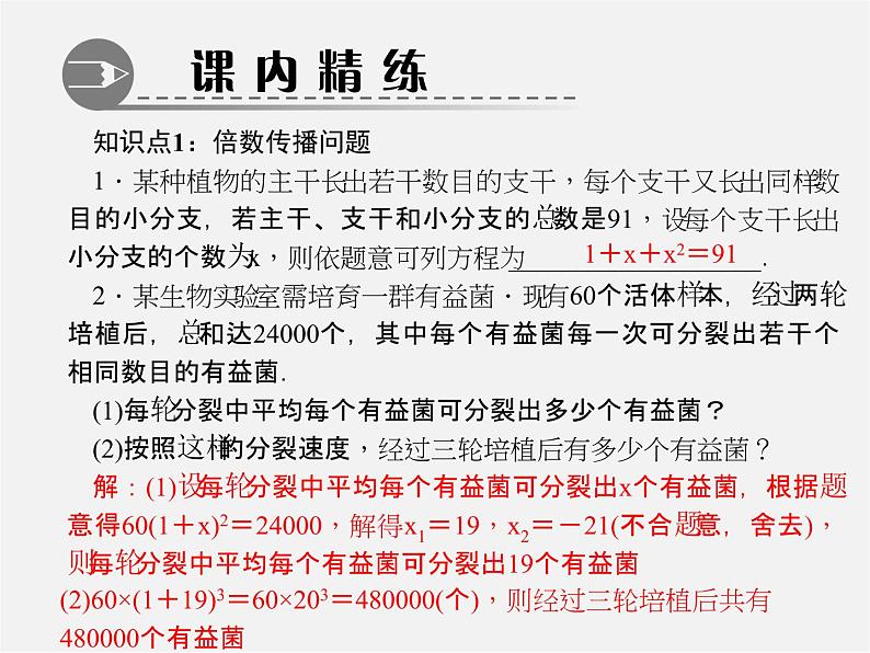 第6套人教初中数学九上  21.3 实际问题与一元二次方程（第1课时）课件2第3页