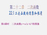 初中数学人教版九年级上册22.1.1 二次函数教学课件ppt