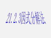 第7套人教初中数学九上  21.2.3 因式分解法课件1