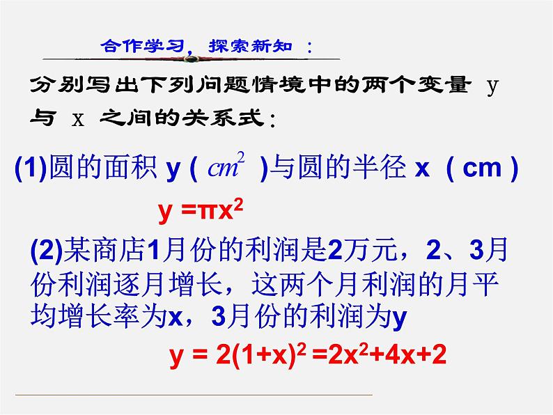 第12套人教初中数学九上   22.1.1 二次函数课件第5页