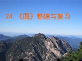 24.1圓 復(fù)習(xí)課 課件 2021-2022學(xué)年人教版數(shù)學(xué)九年級(jí)上冊(cè)