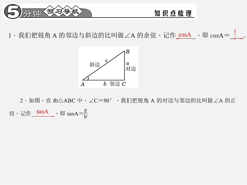 第1套 28.1.2 锐角三角函数课件第2页