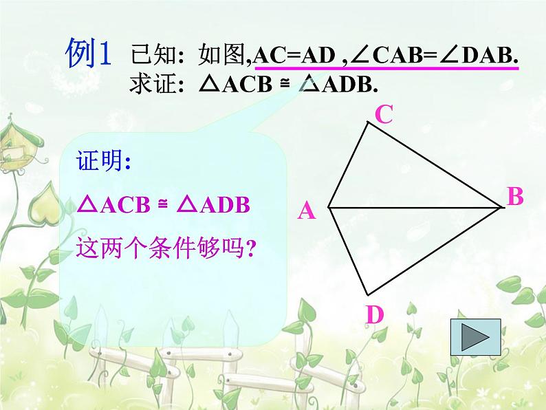 2021-2022学年度北师大版七年级数学下册课件 4.3探索三角形全等的条件（3） 1第8页