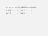 北师大初中数学七上《1.1 生活中的立体图形》PPT课件 (1)