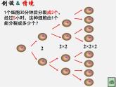 北师大初中数学七上《2.9 有理数的乘方》PPT课件 (9)