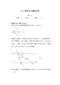 人教版八年级上册12.3 角的平分线的性质课时训练