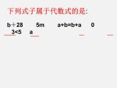 北师大初中数学七上《3.2 代数式》PPT课件 (10)