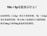 北师大初中数学七上《3.2 代数式》PPT课件 (11)