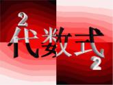 北师大初中数学七上《3.2 代数式》PPT课件 (20)