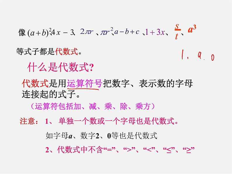 北师大初中数学七上《3.2 代数式》PPT课件 (20)第7页