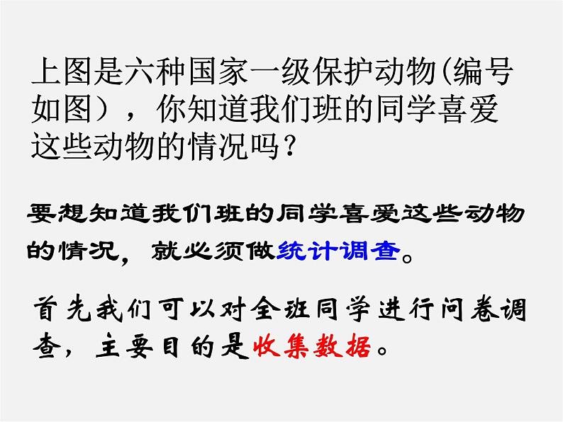 北师大初中数学七上《6.1 数据的收集》PPT课件 (3)第3页