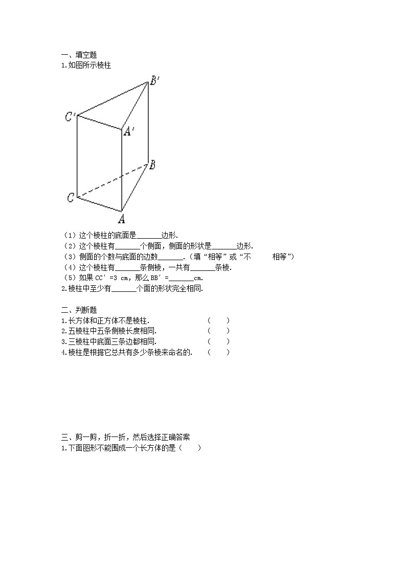 北师大初中数学七上《1.2 展开与折叠》word教案 (5)第3页