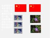 北师大初中数学七下《4.2图形的全等》PPT课件 (6)