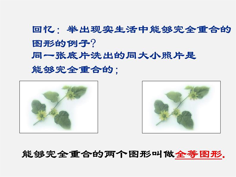 北师大初中数学七下《4.2图形的全等》PPT课件 (11)第2页