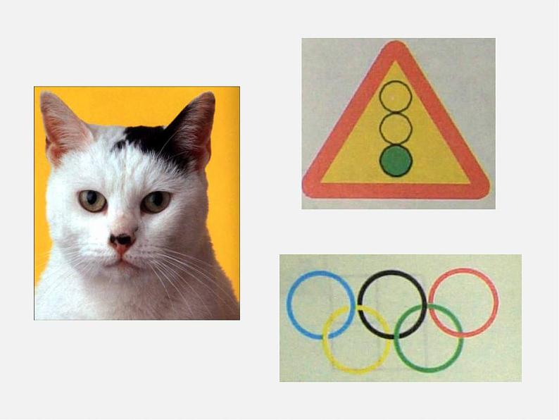 北师大初中数学七下《5.1轴对称现象》PPT课件 (1)第3页