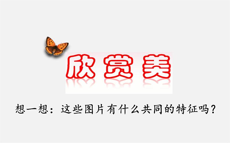 北师大初中数学七下《5.1轴对称现象》PPT课件 (2)第5页