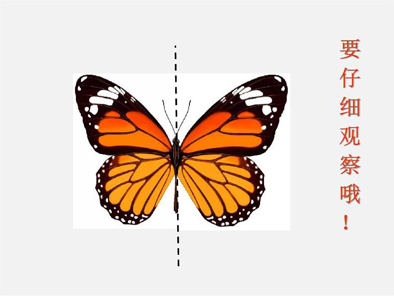 北师大初中数学七下《5.2探索轴对称的性质》PPT课件 (6)第3页