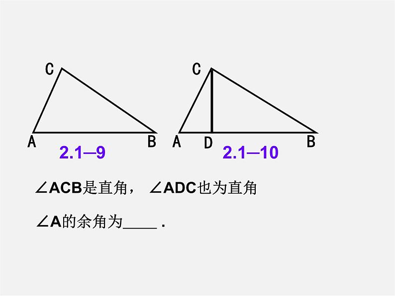 北师大初中数学七下《2.1两条直线的位置关系》PPT课件 (19)03