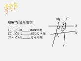 北师大初中数学七下《2.2探索直线平行的条件》PPT课件 (17)