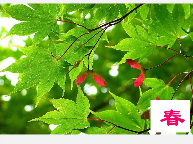 北师大初中数学七下《3.1用表格表示的变量间关系》PPT课件 (12)第1页