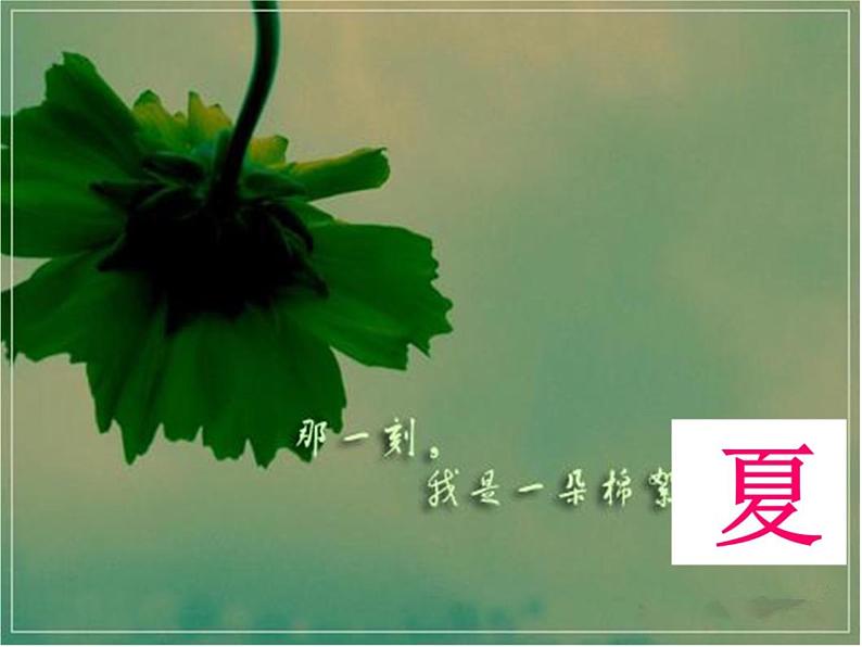 北师大初中数学七下《3.1用表格表示的变量间关系》PPT课件 (12)第2页