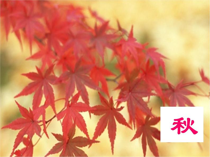 北师大初中数学七下《3.1用表格表示的变量间关系》PPT课件 (12)第3页