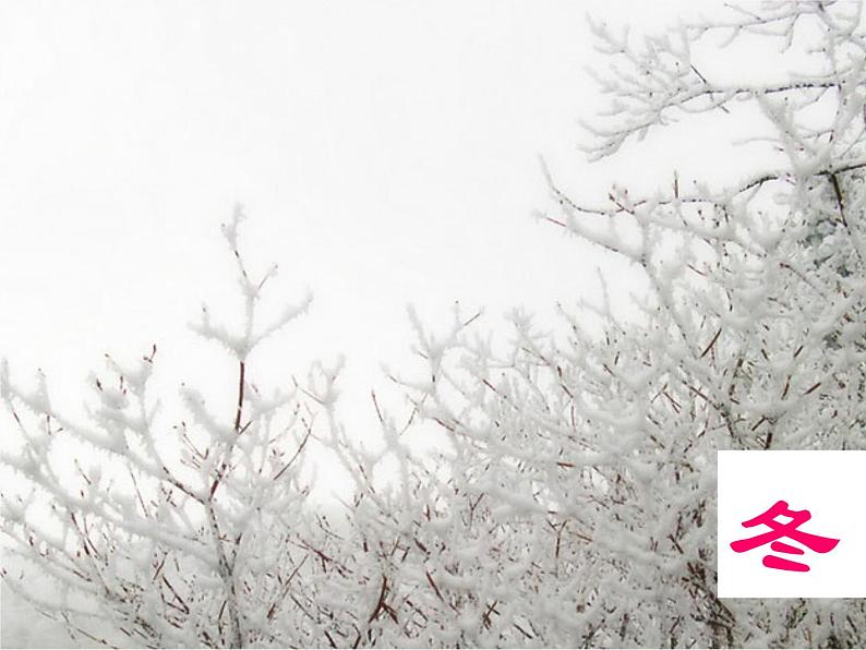 北师大初中数学七下《3.1用表格表示的变量间关系》PPT课件 (12)第4页