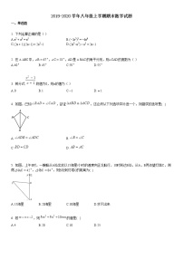 八年级上学期期末数学试题