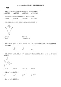 八年级上学期期末数学试题8