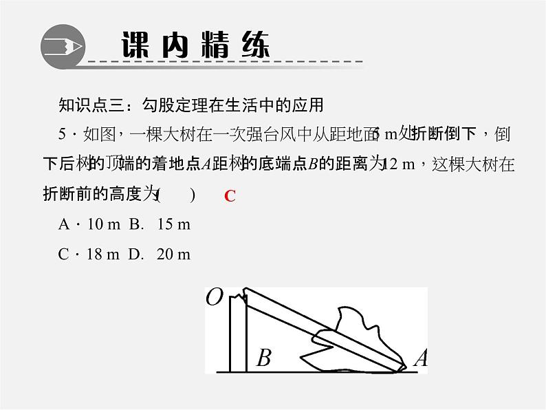 北师大初中数学八上《1.3勾股定理的应用》PPT课件 (4)第7页