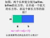 北师大初中数学八下《4.2提公因式法》PPT课件 (6)