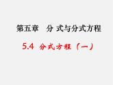 北师大初中数学八下《5.4.分式方程》PPT课件 (5)
