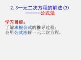 北师大初中数学九上《2.3 用公式法求解一元二次方程》PPT课件