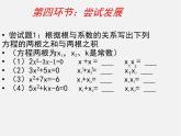 北师大初中数学九上《2.5 一元二次方程的根与系数的关系》PPT课件 (5)