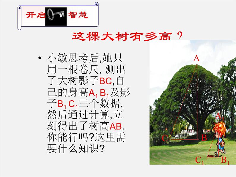 北师大初中数学九上《4.1 成比例线段》PPT课件 (1)第2页