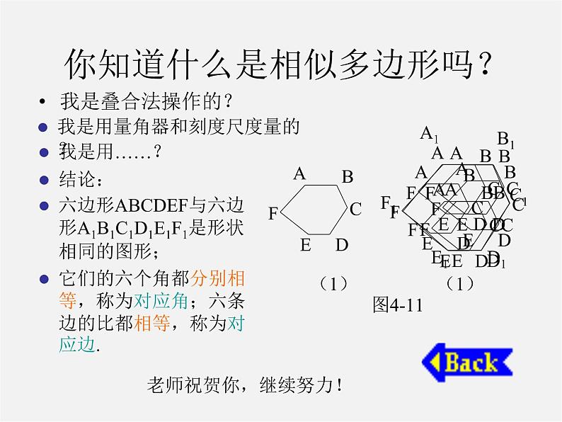 北师大初中数学九上《4.3 相似多边形》PPT课件 (1)04