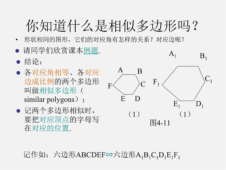 北师大初中数学九上《4.3 相似多边形》PPT课件 (1)05