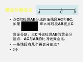 北师大初中数学九上《4.4 探索三角形相似的条件》PPT课件 (21)