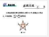 北师大初中数学九上《4.4 探索三角形相似的条件》PPT课件