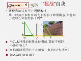 北师大初中数学九上《5.1.投影》PPT课件 (2)