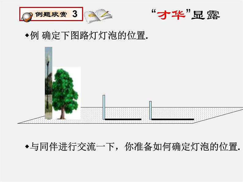 北师大初中数学九上《5.1.投影》PPT课件 (1)第3页