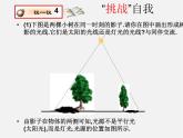 北师大初中数学九上《5.1.投影》PPT课件 (1)