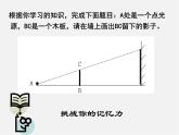 北师大初中数学九上《5.1.投影》PPT课件 (4)